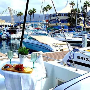 Barco Pita - Puerto Colón San Miguel de Abona